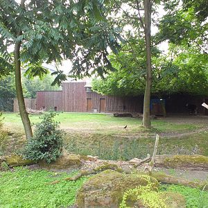 One of Several Okapi Enclosures