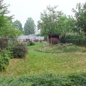 Okapi + Dik dik Enclosure