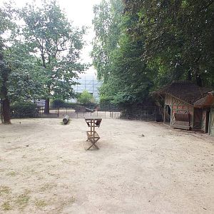 Dybowski Deer Paddock