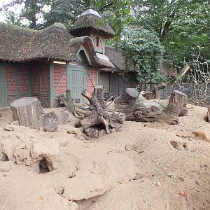 Yellow Mongoose Enclosure