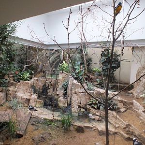 Example enclosure in the Bird House