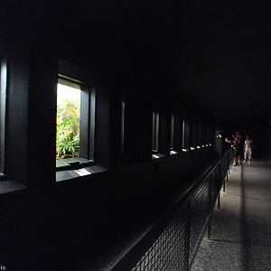 Dark Corridor In the Bird House