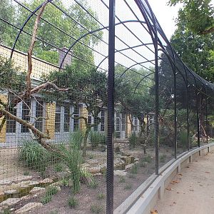 Aviaries Outside the Bird House