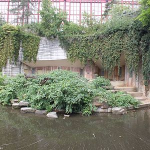 Siberian Tiger Enclosure