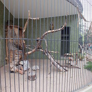 Kea Enclosure