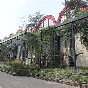 Vulture/Bird of Prey Aviaries