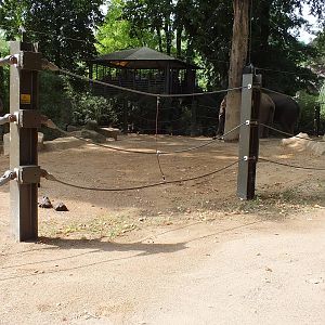 View of part of the Elephant Yard