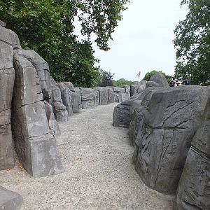 Pathway in the Raised, Mountain Themed Area