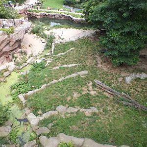 View over the Lion Enclosure from Above