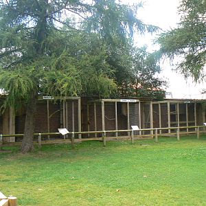 View Of Some Of The Owl Aviaries