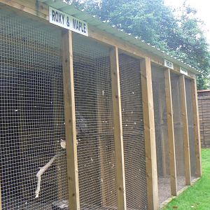 Owl Aviaries