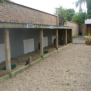 Bird Of Prey Mews