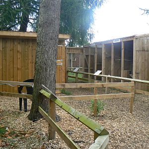 View of Owl Aviaries