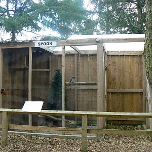 View of Owl Aviaries