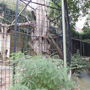 Jaguar Enclosure