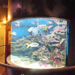 Tank - Submarine Section