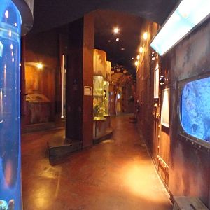 View Along Pathway - Submarine Section