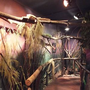 Iguana Walkhrough - Swamp Section