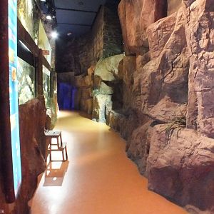 View of Pathway - 'Lake Managua'