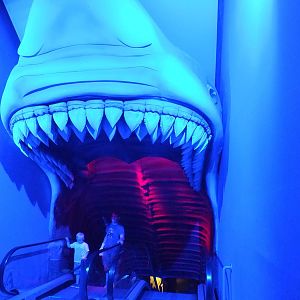 Entrance to 'Shark Escalator'