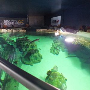 View over the top of the main Shark and Turtle Tank