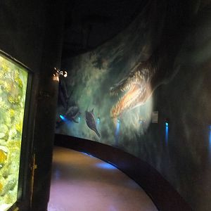 'Prehistoric Hallway'