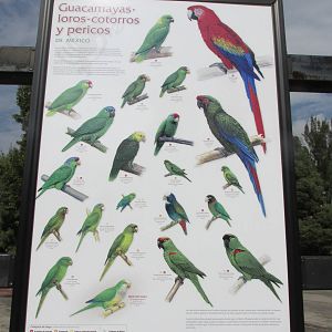 sign san juan de aragon zoo