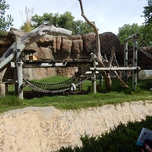 8/6/2015 - Second Gorilla Exhibit (Climbing Structure)