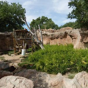 8/6/2015 - Orangutan Exhibit