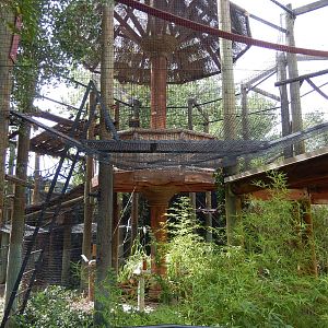 8/6/2015 - Siamang Exhibit (Mid-Air Viewing Platform)