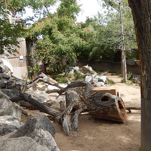 8/6/2015 - Tasmanian Devil Habitat