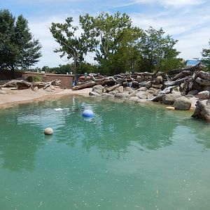 8/6/2015 - Nile Hippo Habitat