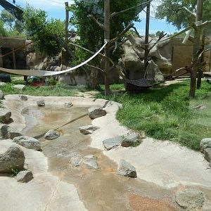 8/6/2015 - Chimpanzee Habitat