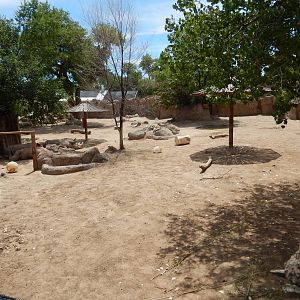 8/6/2015 - White Rhino Habitat