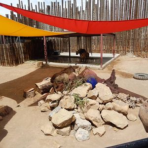 8/6/2015 - Second Takin Exhibit