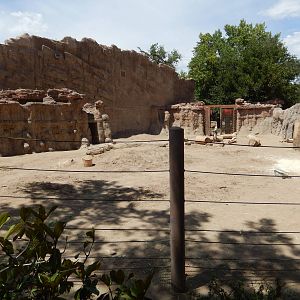 8/6/2015 - First Asian Elephant Habitat