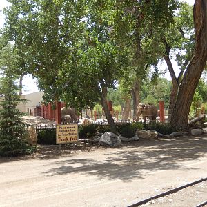 8/6/2015 - Third Asian Elephant Habitat