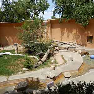 8/6/2015 - Bengal Tiger Grotto