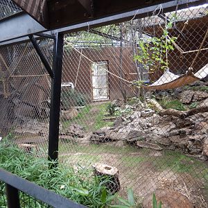 8/6/2015 - Fossa Exhibit