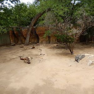 8/6/2015 - Red Kangaroo Habitat (Left Half)