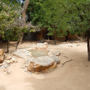 8/6/2015 - Red Kangaroo Habitat (Right Half)