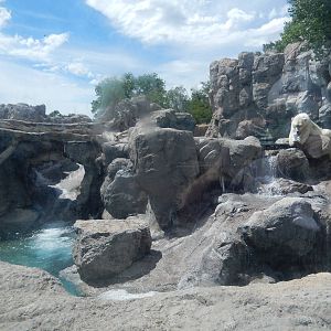 8/6/2015 - Polar Bear Habitat