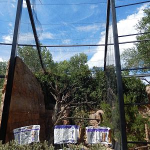 8/6/2015 - Ferruginous Hawk Aviary