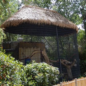 8/6/2015 - Wolf's Guenon Cage