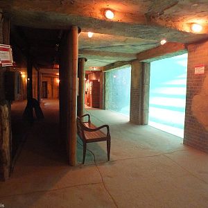 Basement of Elephant Temple