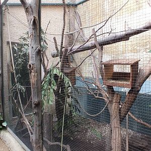 Southern Cloud Rat Enclosure in Bird Walkthrough