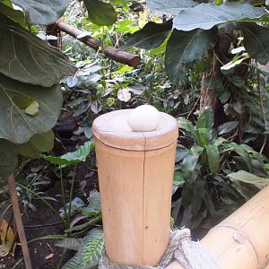 Poor Choice of Where to Lay