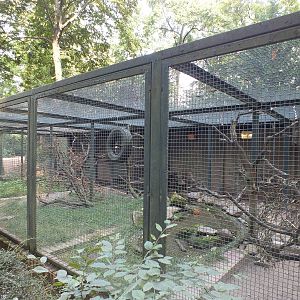 Kea Enclosure