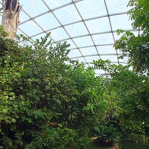 View in Gondwanaland