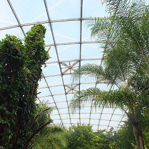 View in Gondwanaland